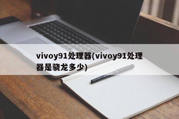 vivoy91处理器(vivoy91处理器是骁龙多少)